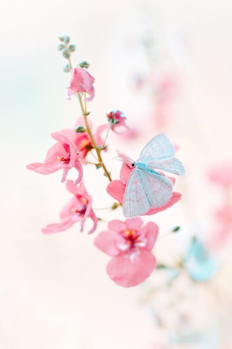 Fragility