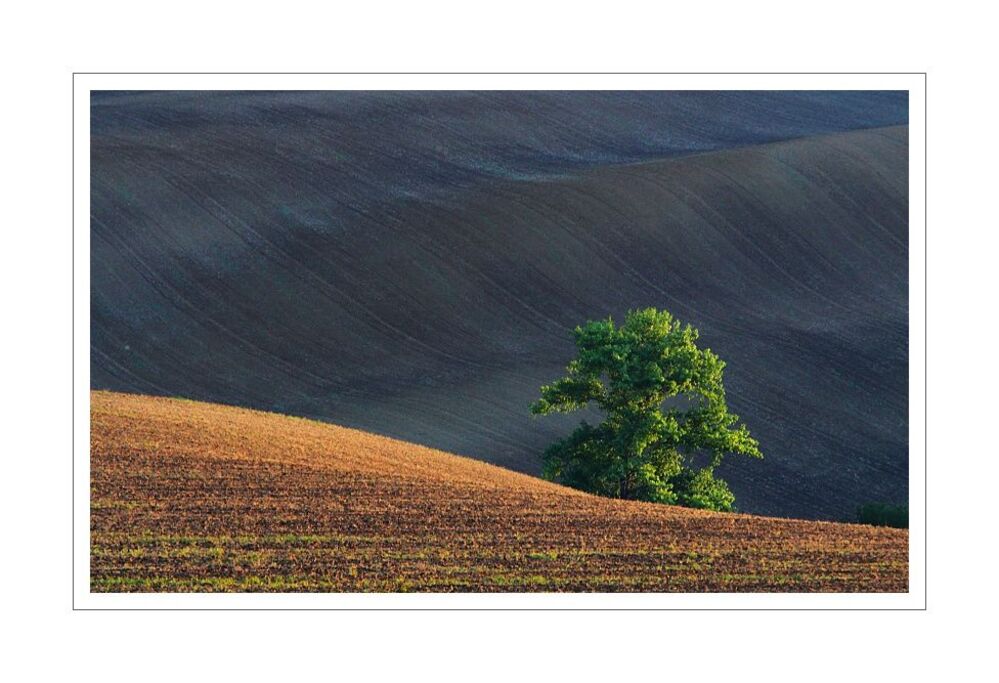 Moravian landscape