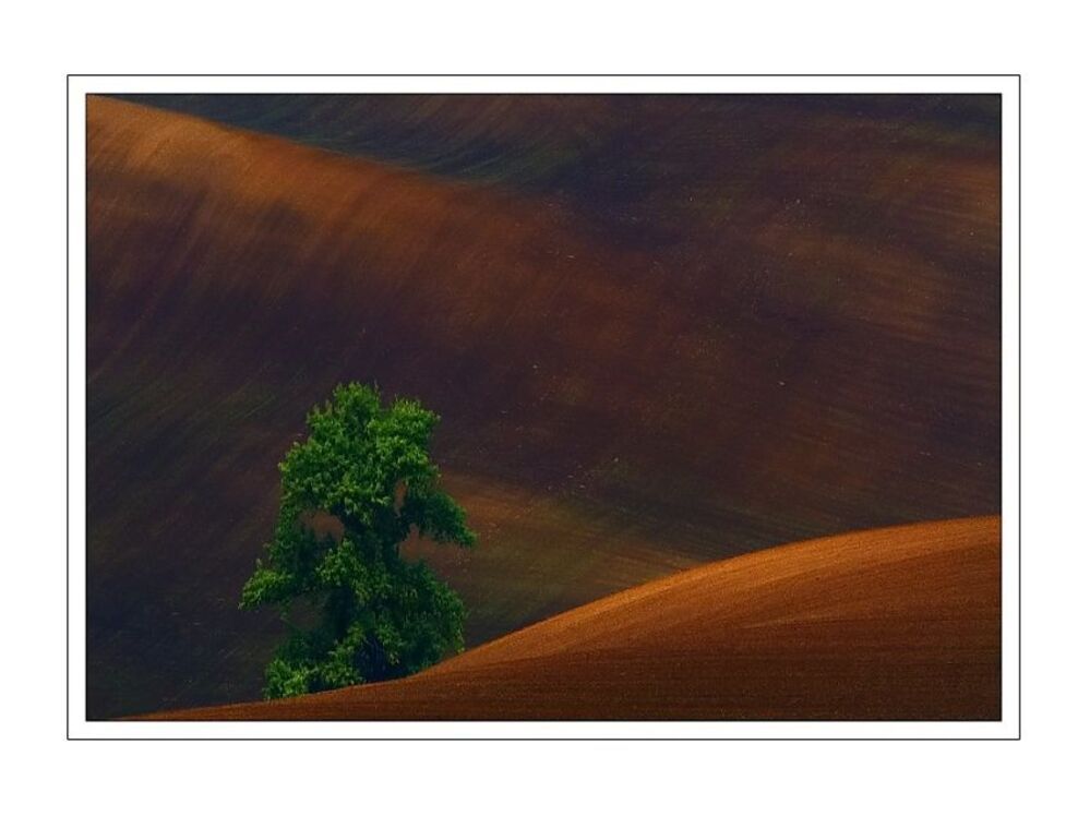 Moravian landscape