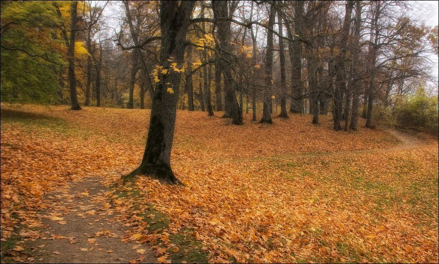 Межотне