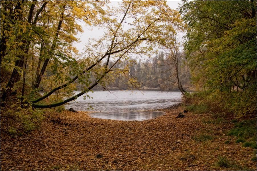 Кокнессе