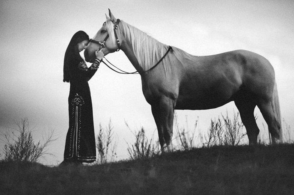 Horse walk