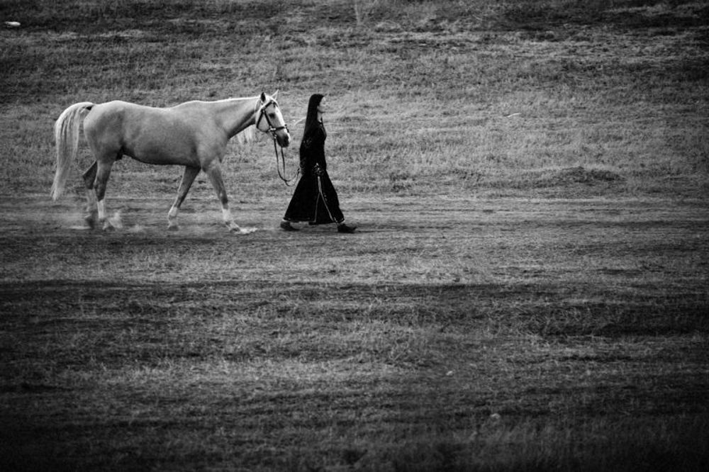 Horse walk