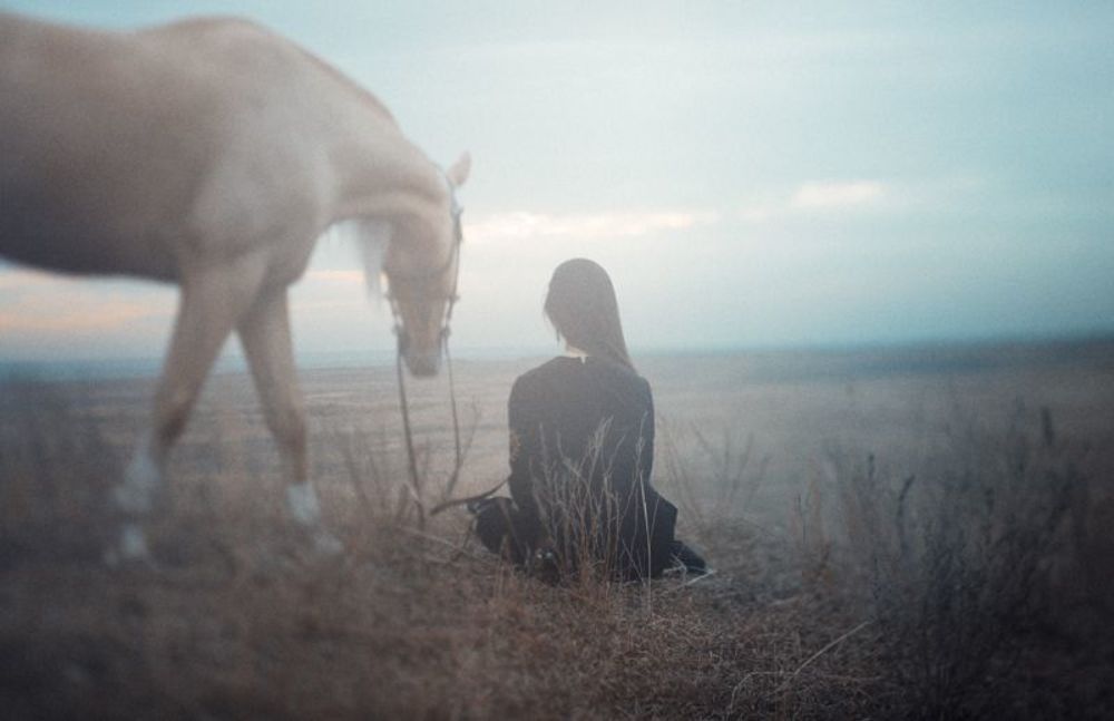 Horse walk