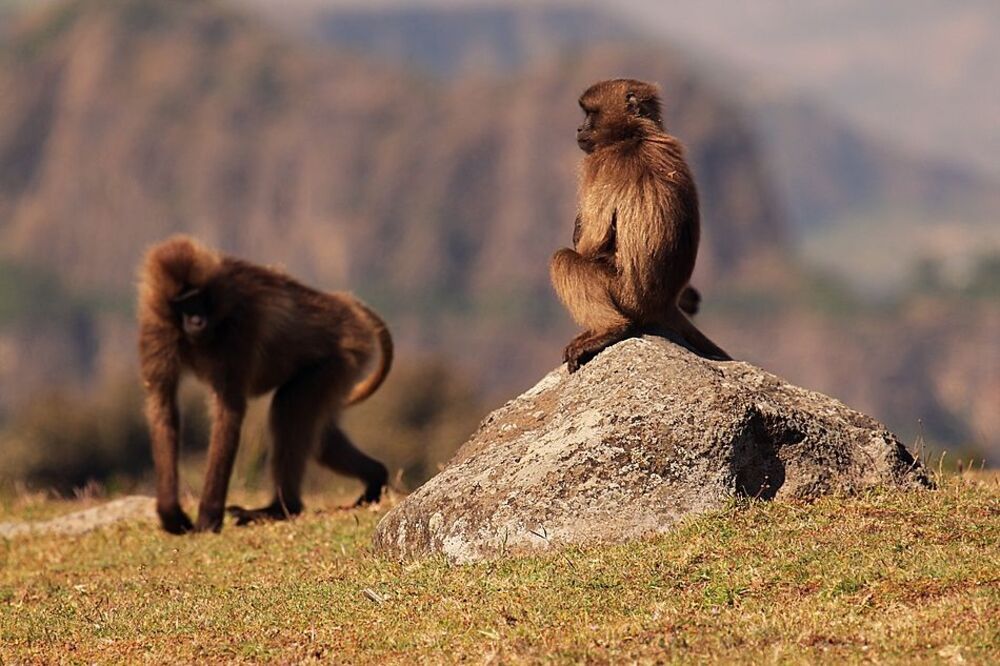 Ethiopia