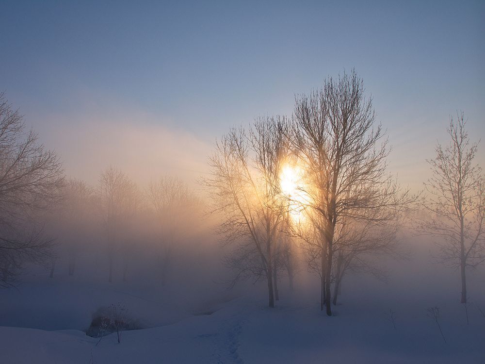 Одно морозное утро...