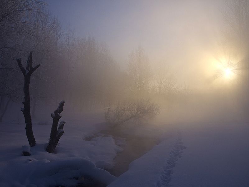 Одно морозное утро...