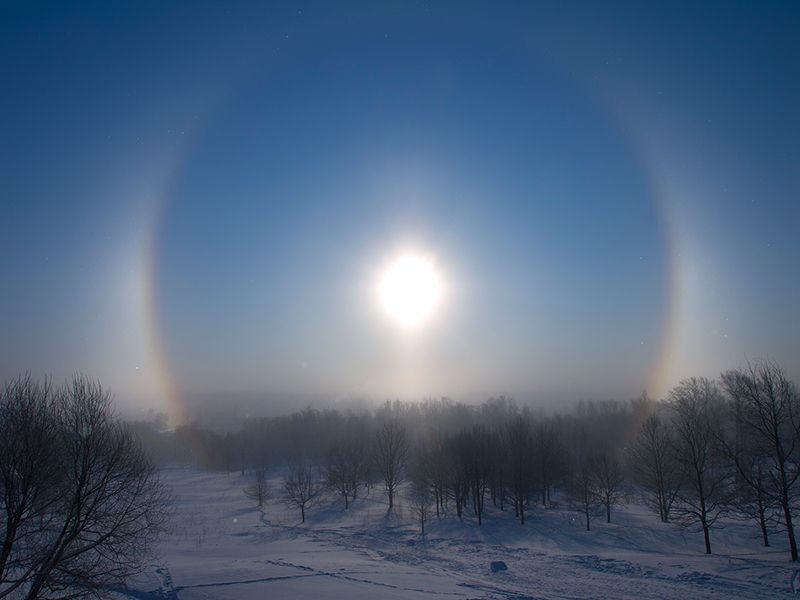 Одно морозное утро...