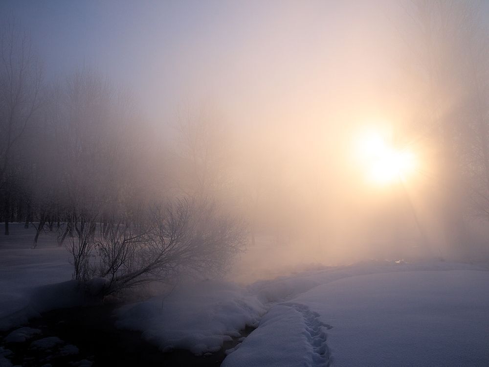 Одно морозное утро...