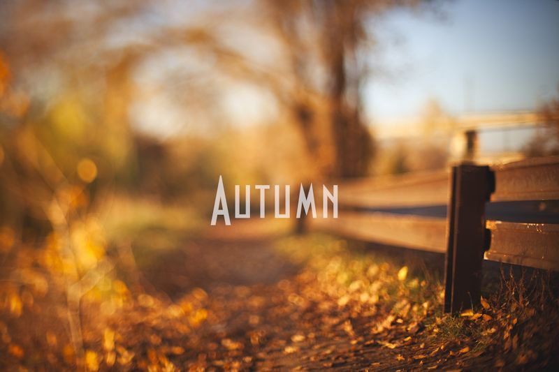 Our autumn