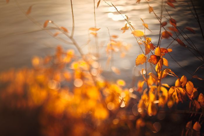 Our autumn