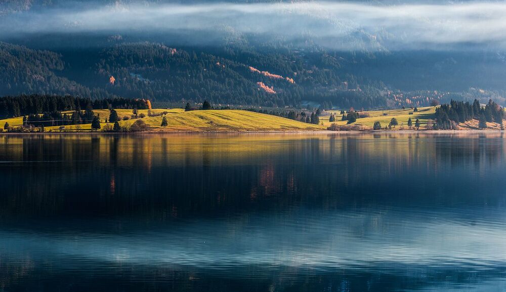 ТУМАНЫ FORGGENSEE
