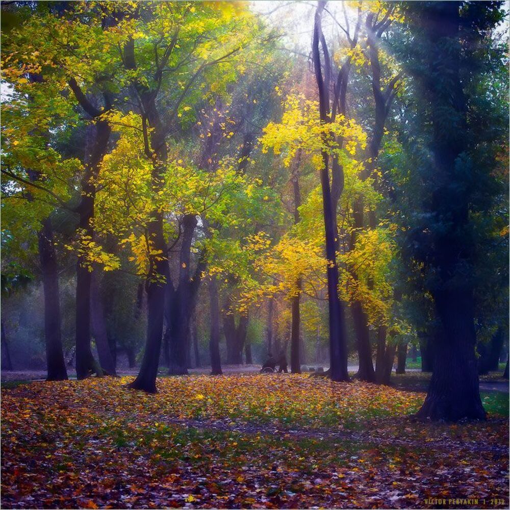 Осень в парке
