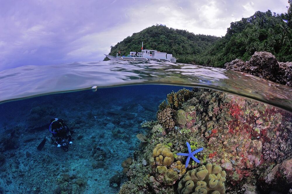 South Leyte. Sogod Bay. Splits.
