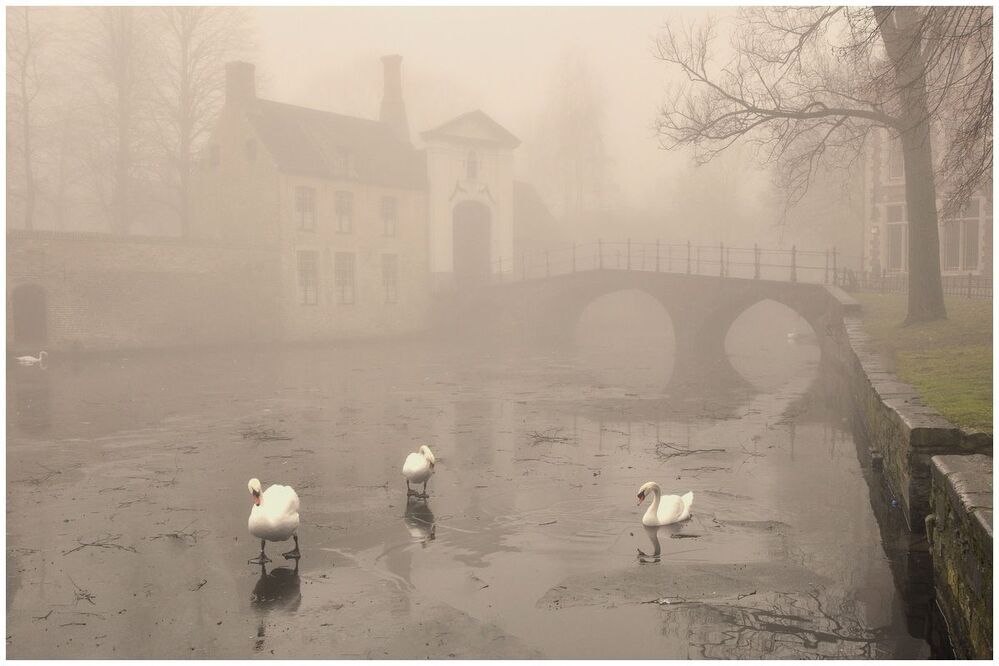 Brugges in the different seasons.