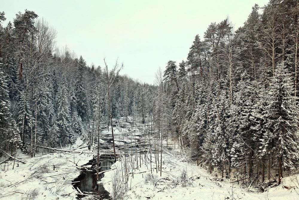 по дороге к Деду Морозу, В.Устюг