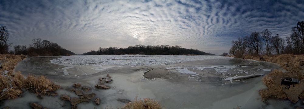Frozen Odra river