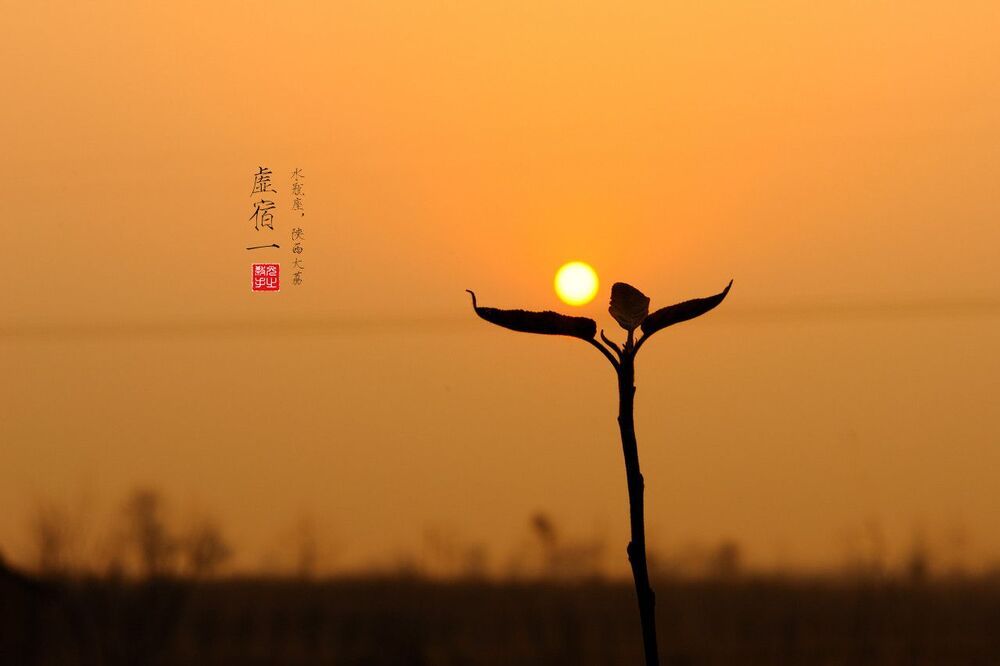 Photo 329011