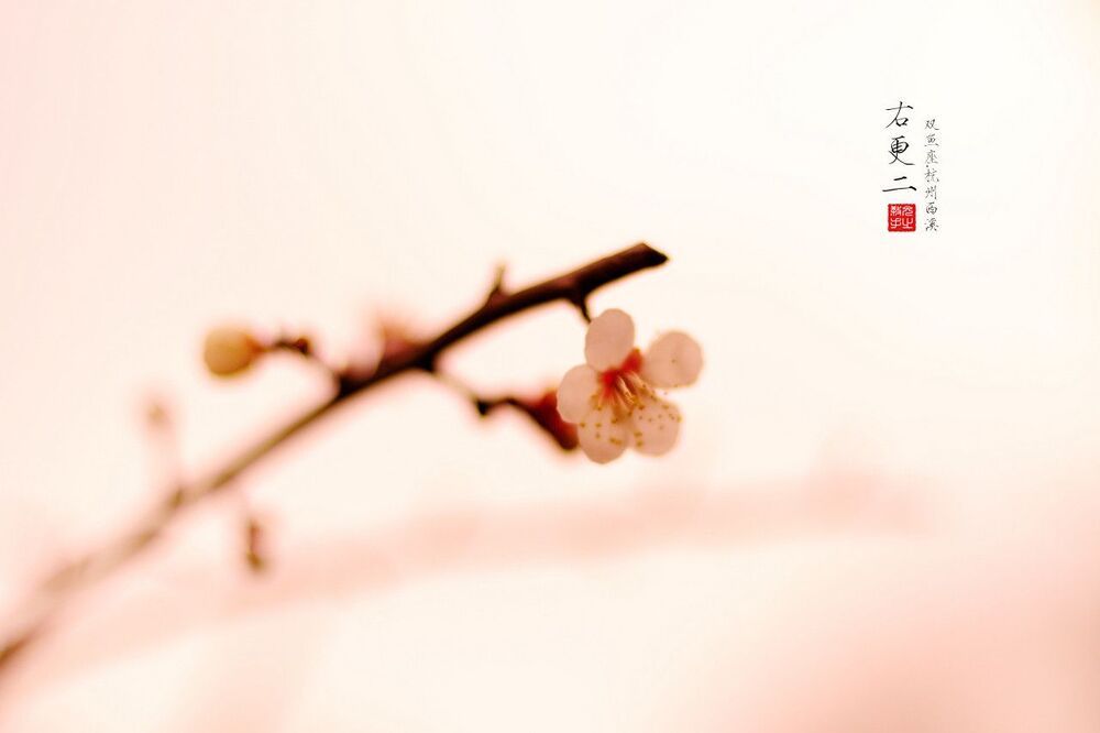 Photo 329012