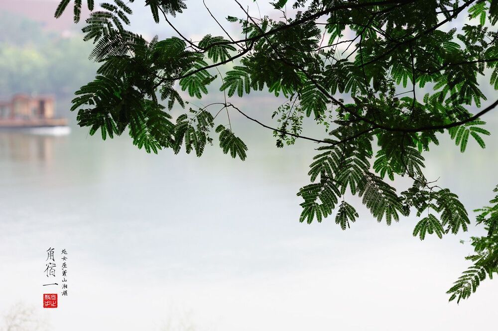 Photo 329018