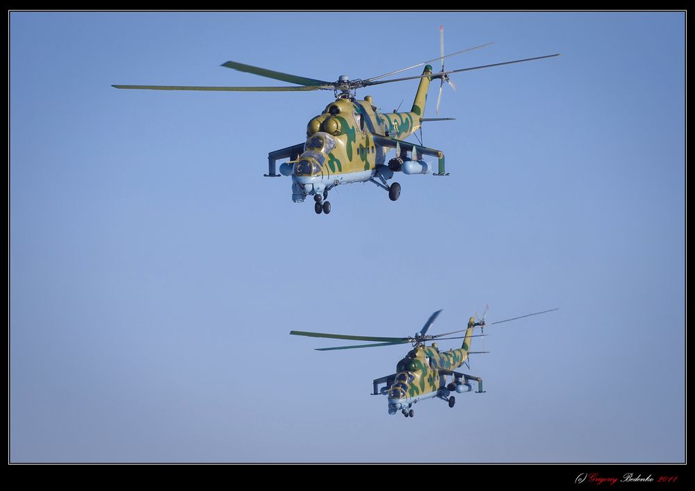 "Ми-24 В" &ndash; самая массовая из множества модификаций этой боевой машины, советского проекта "240", разработанного ОКБ М.Л.Миля. По классификации НАТО вертолет называетcя Hind  &ldquo;Лань&rdquo;.