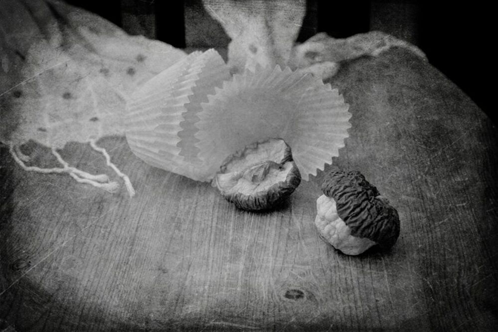 Photo 330695
