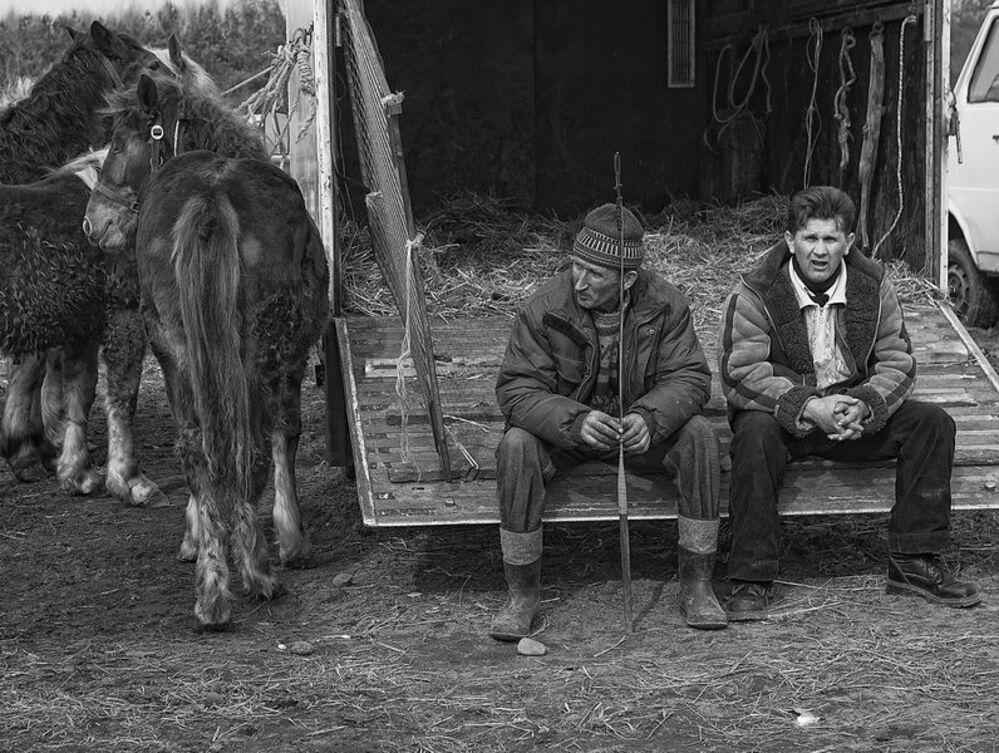 The horse fair