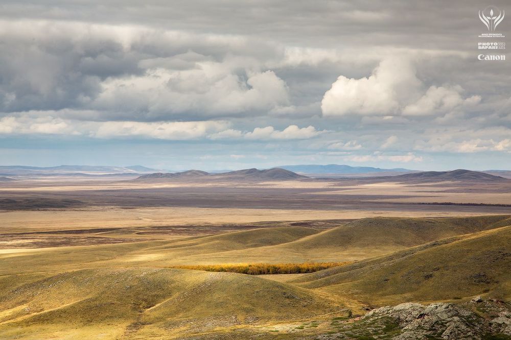 Каркаралинск