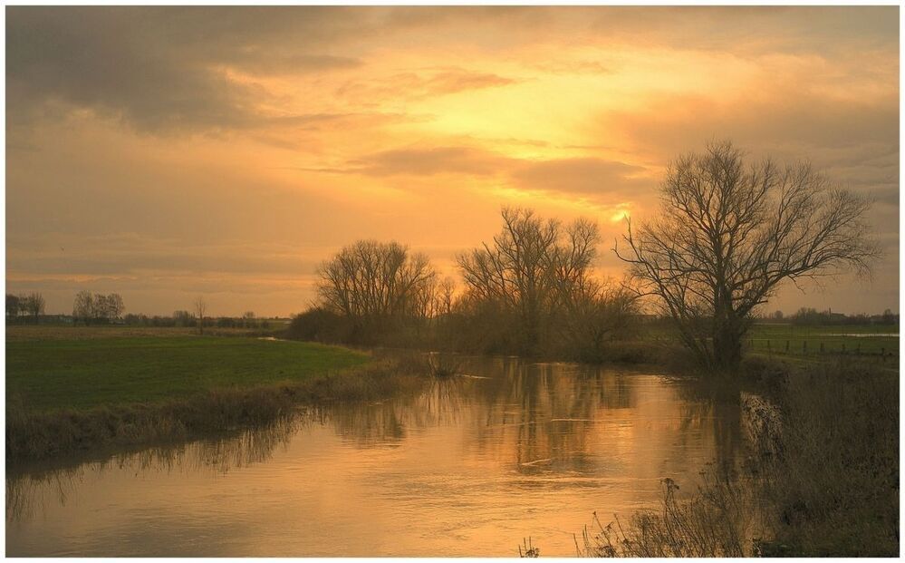 Golden evening.