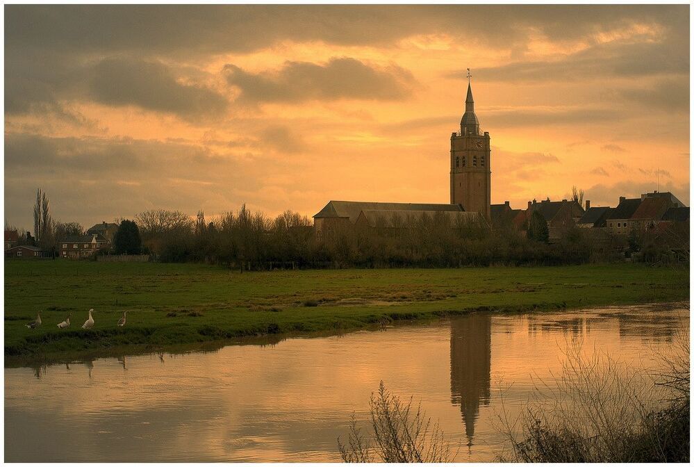 Golden evening.