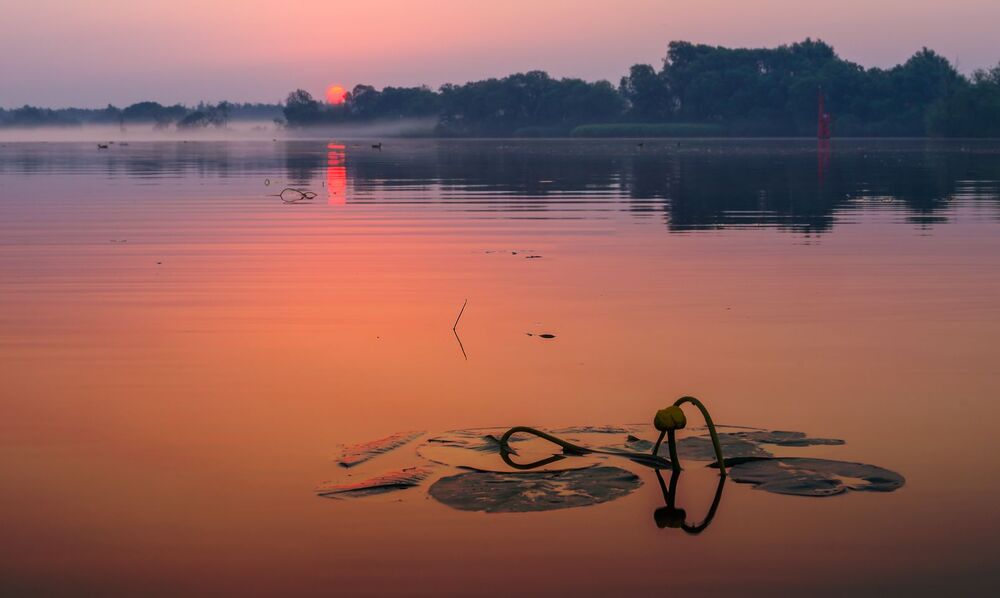 morning over Odra river