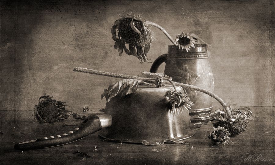 черно-белые стихи