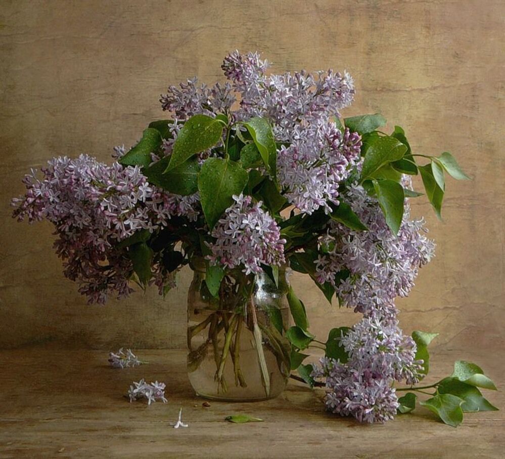 Букеты