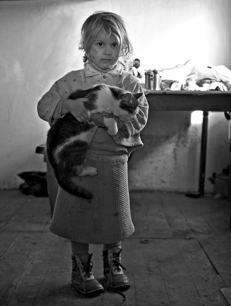 Photo 335027