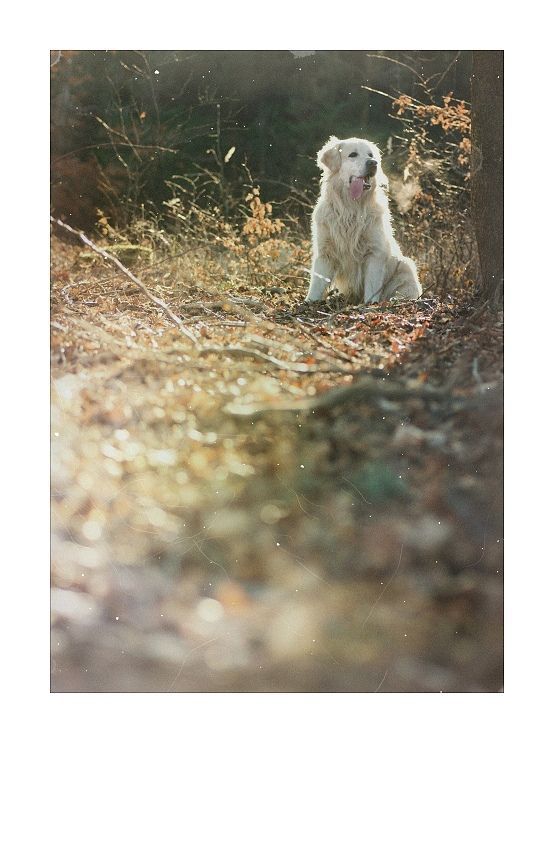 Photo 335344