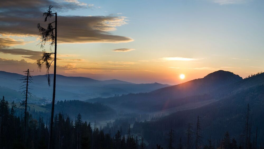 sleepy valley