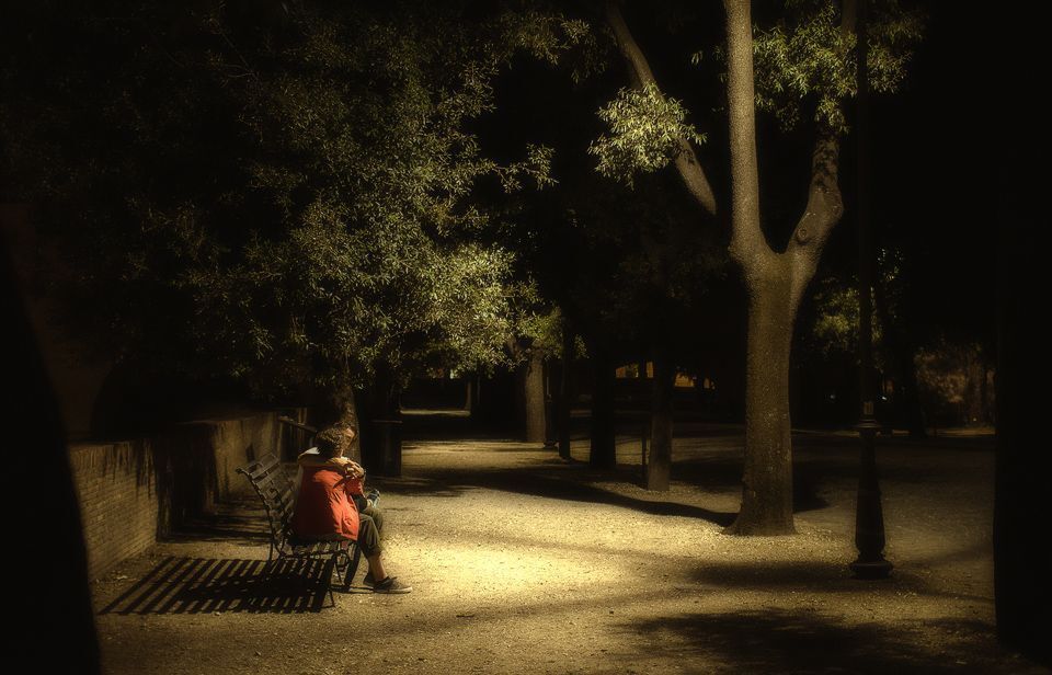 Photo 335636