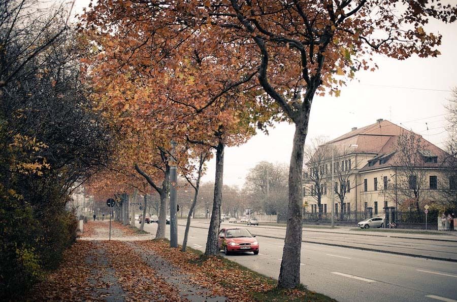 Photo 335638