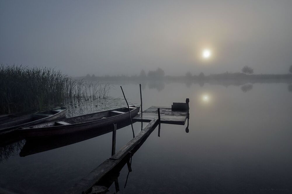 FoG