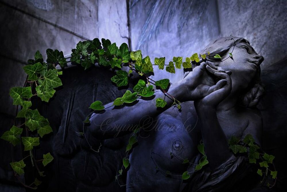 "Ангел" http://cryingsilence.gallery.ru/watch?ph=Q2W-d95rK