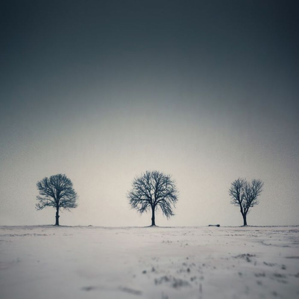 Trio