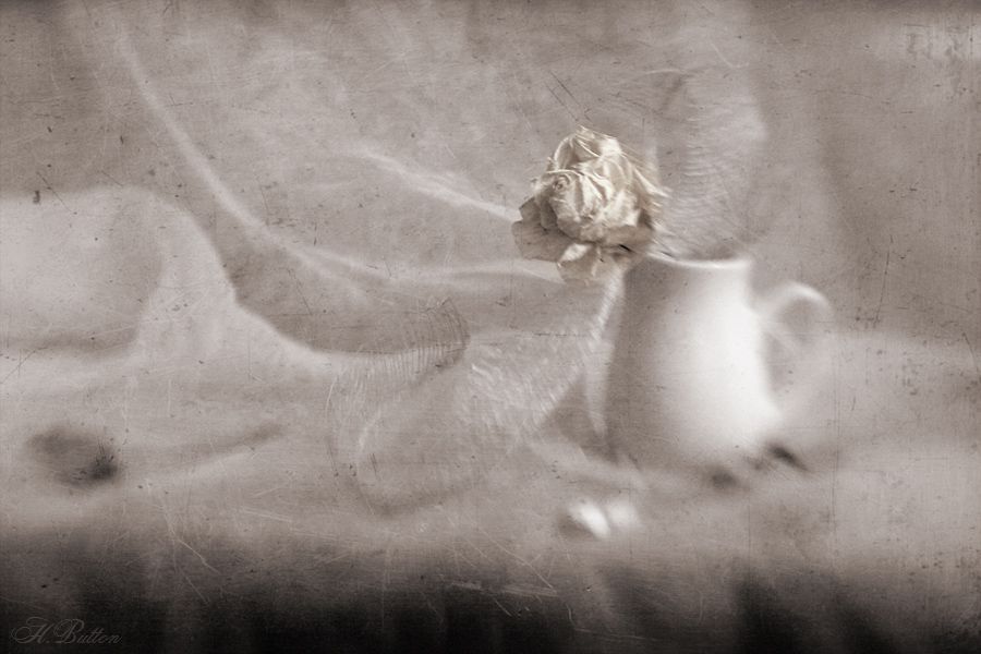 Photo 336345