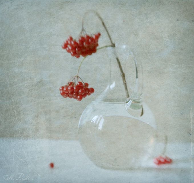 Photo 336347