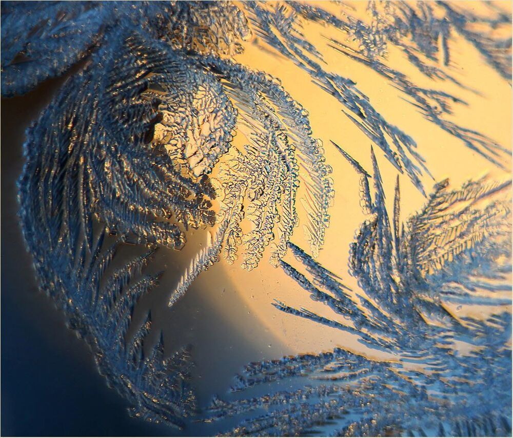 Морозная живопись.