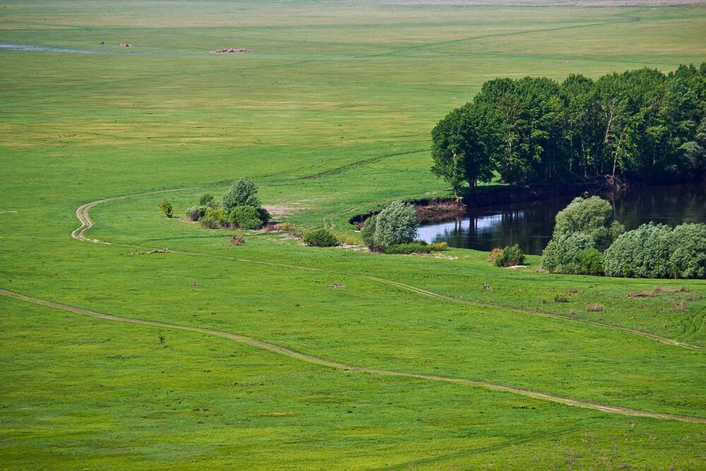 Рельеф Воронежской земли.