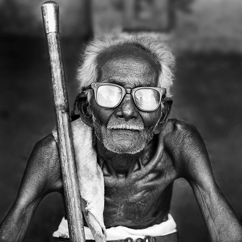 The Walking Stick