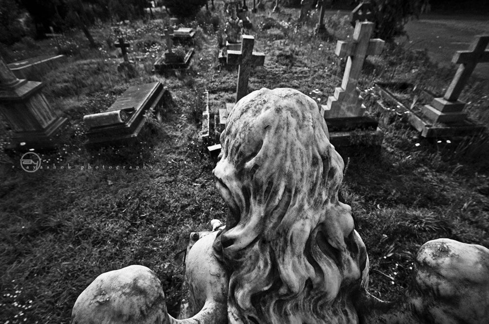 Angel's view