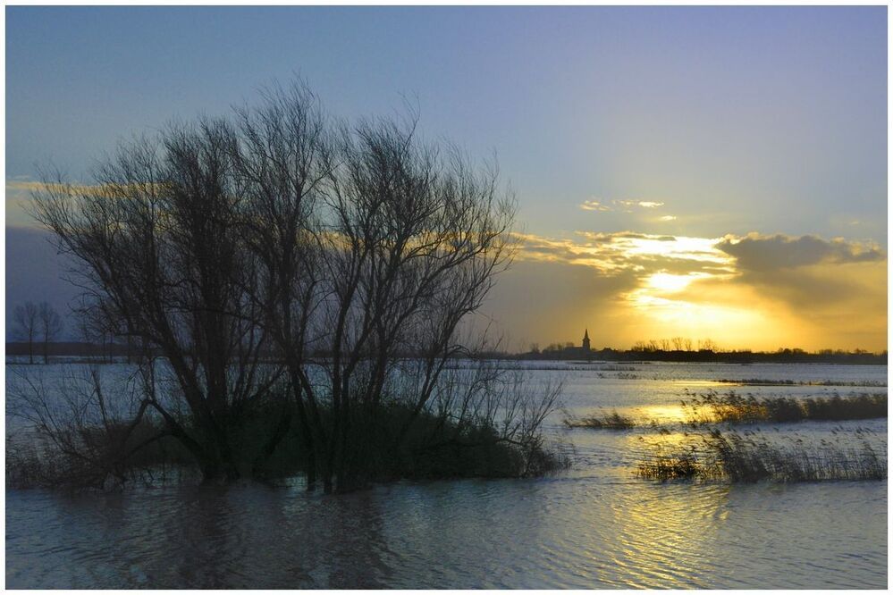 the flood this morning.