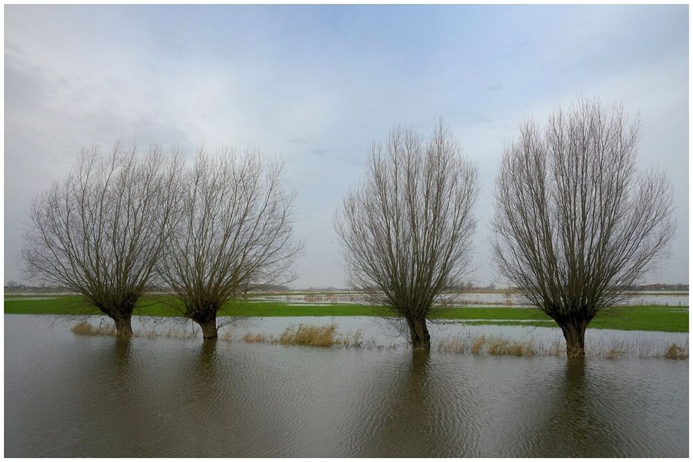 Flood in my region.