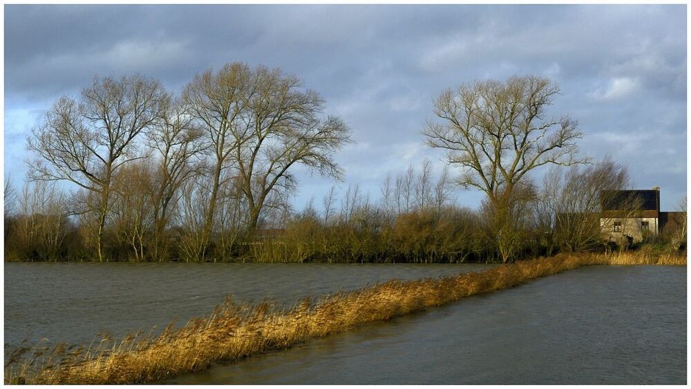 Flood in my region.